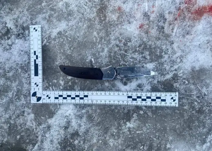 Житель Норильска напал с ножом на жену и 12-летнего ребенка: женщина скончалась на месте, за жизнь мальчика борются врачи