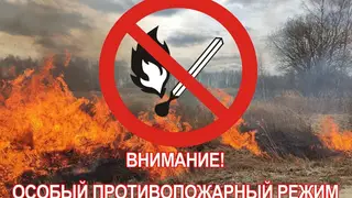 В отдельных районах Красноярского края ввели особый противопожарный режим