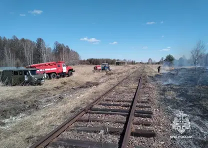 Высокую пожарную опасность прогнозируют в Красноярском крае на 8 мая