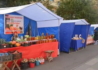 Три продовольственные ярмарки пройдут в Ленинском районе Красноярска в ноябре