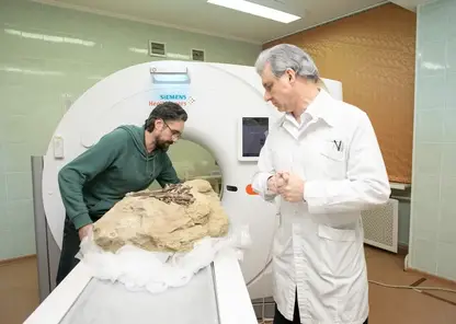 В Кузбассе динозавру сделали томографию