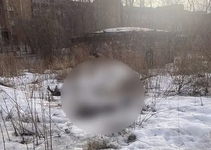 Около Красноярской БСМП нашли мертвую женщину, ей оказалась пропавшая без вести