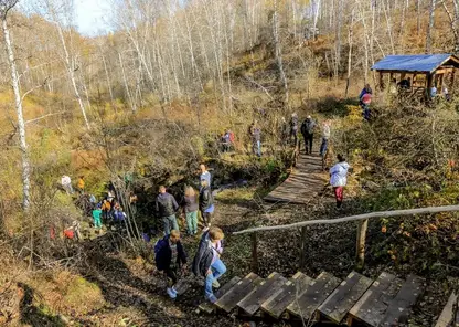 В Новосибирской области благоустроили экотропы «Зверобой» и «Водопад Бучило»
