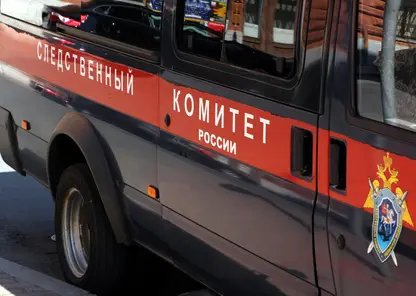 Два уголовных дела возбудили в Красноярском крае по факту гибели людей при пожарах