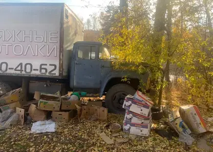 Жители Октябрьского района Красноярска нарушил правила благоустройства на 8,3 млн рублей