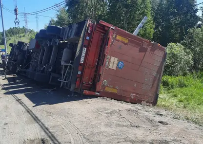 В Красноярском крае на трассе перевернулся грузовик со свиньями