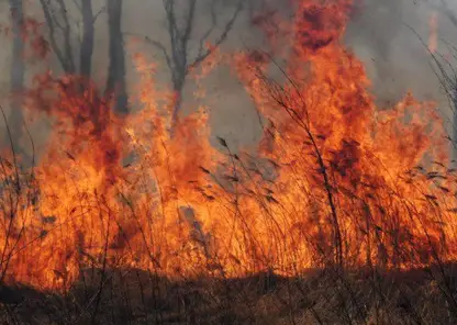 Из-за ветра в Красноярском крае возникают массовые пожары