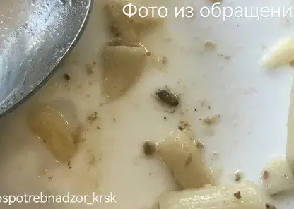В Красноярске школе №91 объявили предостережение за тараканов в тарелке