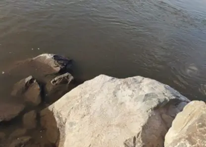 В Ачинске в реке Чулым утонул 12-летний мальчик