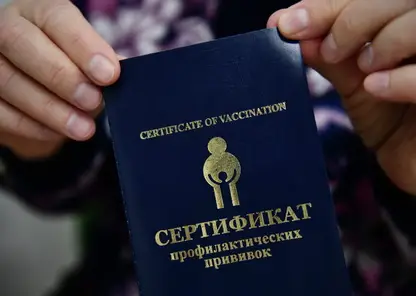 В Красноярске возбудили уголовные дела о покупке поддельных сертификатов о вакцинации