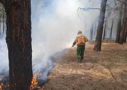 Более 300 лесных пожарных перебрасывают на север Красноярского края