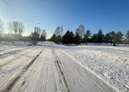 В красноярском Татышев-парке готовят лыжную трассу для забегов