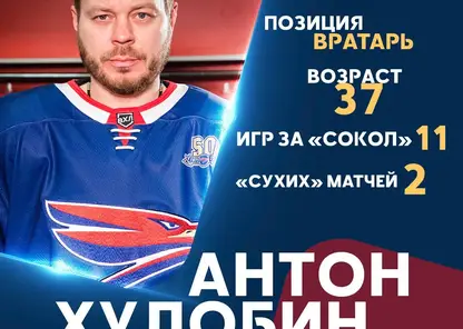 Голкипер ХК «Сокол» Антон Худобин продолжит карьеру в «Сибири»
