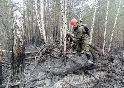 Особый противопожарный режим вводится в Красноярском крае с 20 мая на территории Енисейска и в ряде муниципальных районов