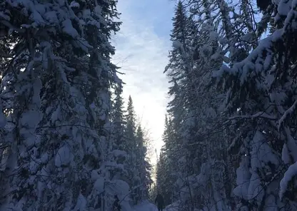 +1 градус и мокрый снег ожидаются в Красноярске 2 января