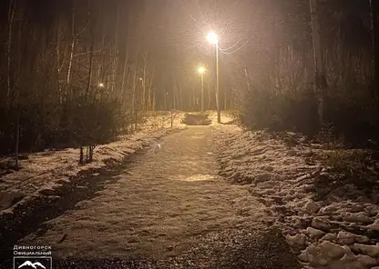 В Дивногорске на месте убийства 16-летней девушки установили освещение