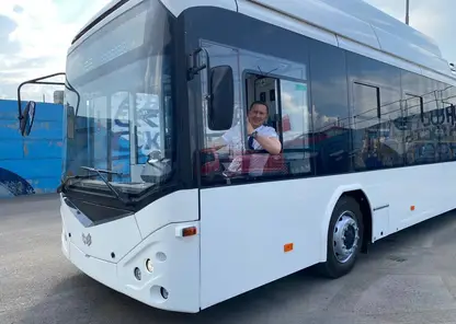 На дорогах Красноярска могут появиться красноярские троллейбусы