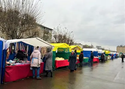 Продовольственные базары в Свердловском районе посетили более 10 000 жителей Красноярска