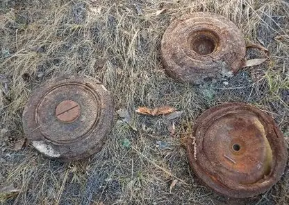 В Бурятии неподалёку от дачного посёлка нашли мины