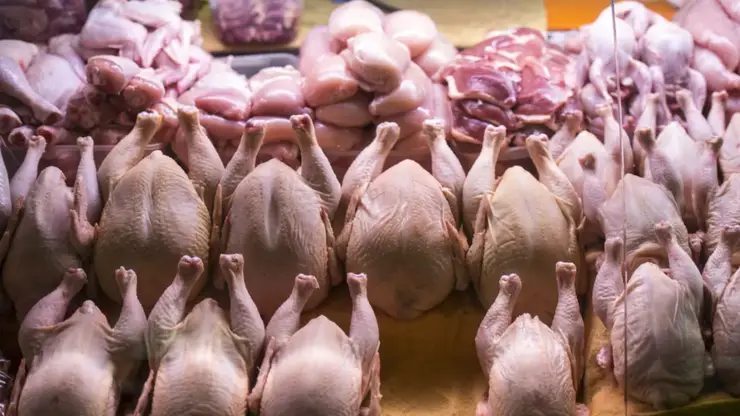В Красноярске обнаружены опасное мясо птицы и полуфабрикаты