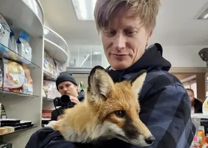 Рок-группа «Jane Air» из Санкт-Петербурга посетила единственный центр защиты дикой природы в Красноярске