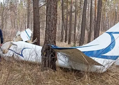 В Красноярском крае при крушении самолёта погиб человек