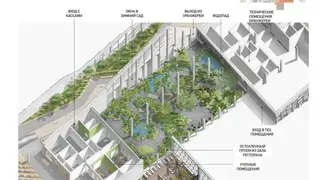 В Норильске планируют построить тропический зимний сад с пальмами