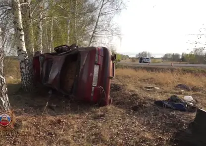 В Красноярском крае автомобилист с двумя подростками в авто вылетел с трассы