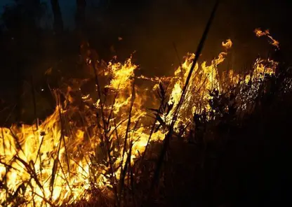 Более 20 очагов возгораний зафиксировано в лесах Красноярского края