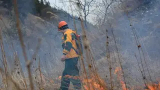 Более 170 лесных пожарных с севера перебрасывают для тушения возгораний в западных, восточных и центральных районах Красноярского края