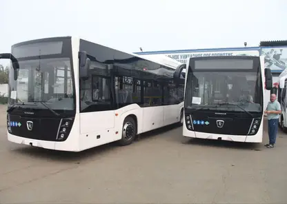 Приангарье до февраля 2024 года получит более 100 новых автобусов