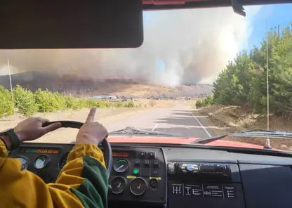 За сутки в Красноярском крае потушили 7 лесных пожаров
