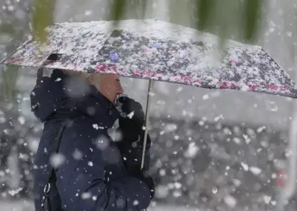 Жителей южных районов Красноярского края предупреждают о сильном снегопаде 31 октября