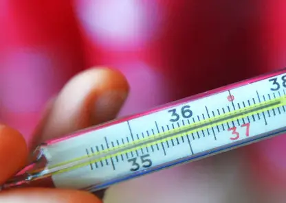 Ситуация по гриппу и ОРВИ в Приморье стабильна
