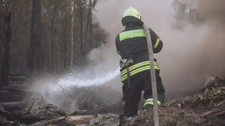 Площадь лесных пожаров в Хабаровском крае превысила 6300 га