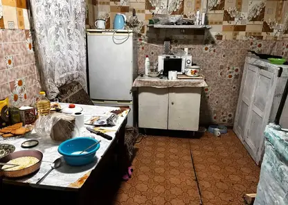 В Красноярском крае у пьющей матери забрали четверых голодных и замерзших детей