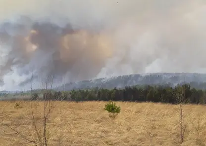 В Красноярском крае мужчина хотел сжечь мусор и устроил пожар