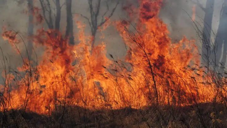 27 лесных пожара потушили за сутки в Красноярском крае