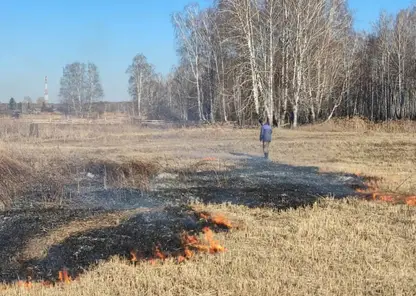 В Красноярском крае мужчина ради картошки поджёг траву