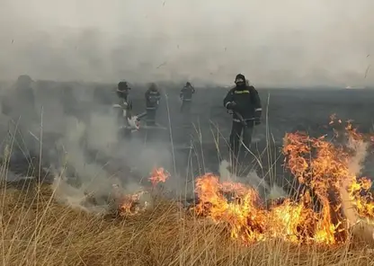 Число лесных пожаров в Забайкалье за сутки увеличилось вдвое