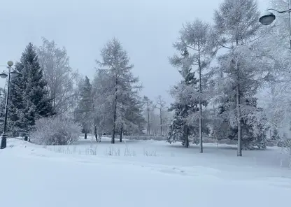-14 градусов и небольшой снег обещают в Красноярске 13 февраля