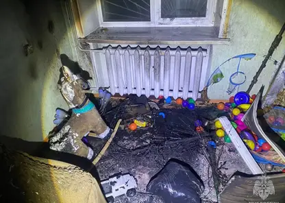 В столице Бурятии из-за загоревшейся ёлки эвакуировали жильцов многоэтажки
