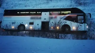 В Хабаровском крае погибло восемь человек после съезда автобуса в кювет