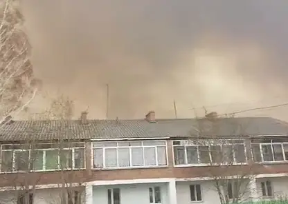 В трёх населённых пунктах Красноярского края потушили пожары