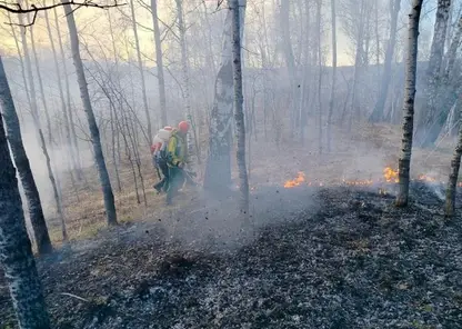 2,7 гектаров леса сгорело в Шушенском районе в окрестностях села Дубенское