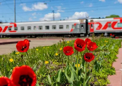 Перевозки пассажиров на Красноярской железной дороге в мае выросли на 10%