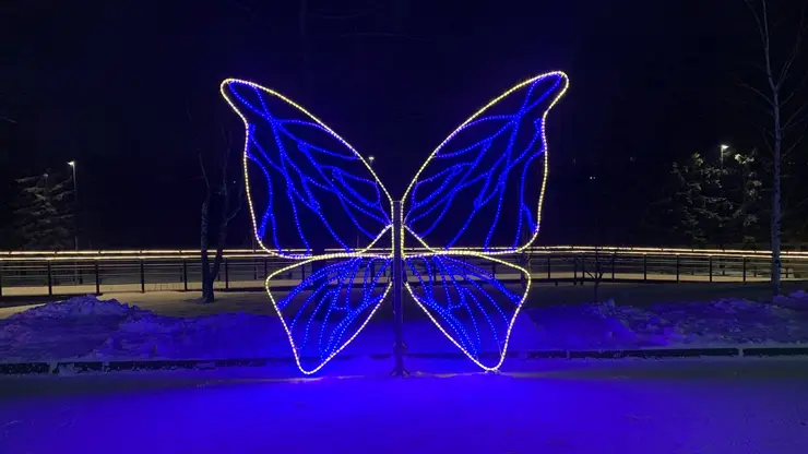 В Красноярске на Центральной набережной появился арт-объект в виде бабочки