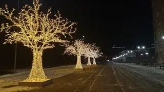 В Историческом квартале Красноярска зажглись световые деревья