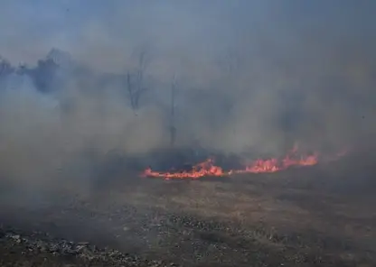 В Минэнерго рассказали, что повреждения ЛЭП — не основная причина лесных пожаров