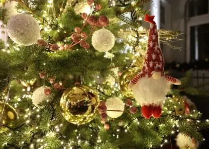 Из Томской области в зону СВО передадут новогодние елки и украшения для них